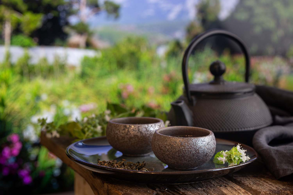 Czy zielona herbata jest zdrowa dla każdego?